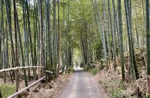 Hidden Secrets of Fushimi Inari: Bamboo Paths and Sake Village