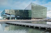 Private Reykjavik City Tour in Multi-Language Guide Options