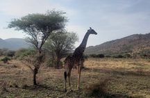  3 Days Ngorongoro Crater and Serengeti Safari.