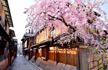 Kyoto Gion: History and Geisha Culture Walking Tour