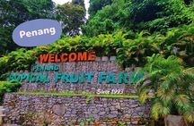 Penang Half Day City Tour Including Tropical Fruit Farm