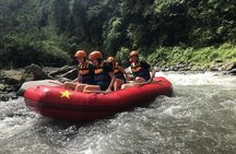 Rafting Adventure 18 km and Balinese Village Life Tour with Lunch