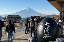 Hakone Private Tour from Tokyo with Lake Ashi Cruise & Onsen