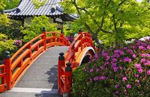 Kyoto: Nijo Castle History Walking Tour – World Heritage