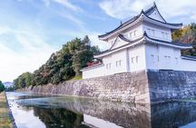 Kyoto: Nijo Castle History Walking Tour – World Heritage