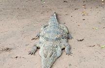 City Tour Arch 22 Museums and Wildlife Pass