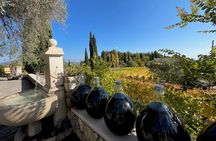 Wine, Scents and Scenic Riviera from Nice