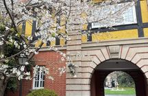 Charming Shanghai French Concession Mini-group Walking Tour