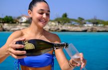Private Sightseeing Boat Tour at Aruba with Snorkeling & Swimming