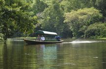 Amazon River and Monkey Island Day Tour 