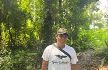 Amazon River and Monkey Island Day Tour 
