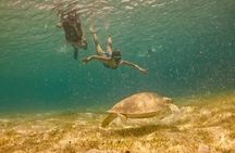 Jeep & Sailboat Adventure Combo Full Day Virgin Islands