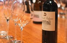 French Wine and Champagne Tasting in Paris