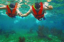 Tulum Ruins Snorkel with Sea Turtle and Cenotes Private Tour