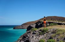 Balandra by Sea Wildlife and Snorkeling from Pichilingue