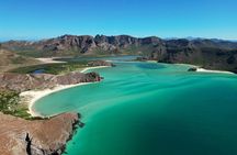 Balandra by Sea Wildlife and Snorkeling from Pichilingue