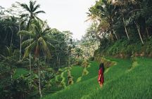 Bali Half Day Trip : All-Inclusive and Private Guided Tour