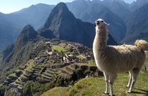 Machu Picchu Private Day Trip from Cusco
