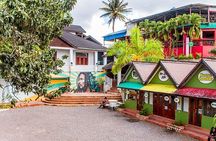 Bob Marley Nine Mile Admission and Guided Tour from Montego Bay