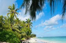 Party Boat Punta Cana Public or Private and Open Bar