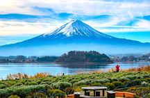 Mount Fuji Sakura Views and Hakone Private Tour