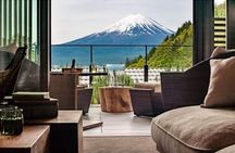 Mount Fuji Sakura Views and Hakone Private Tour