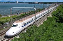 Mount Fuji Sakura Views and Hakone Private Tour