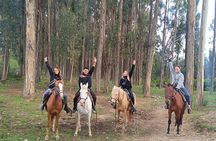 Inca Adventures on Horseback Discover the Legacy of Tahuantinsuyo