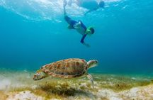 Exclusive Private Boat to El Cielo