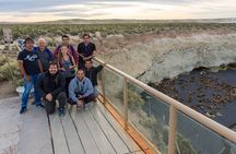 Shore Tour Punta Loma & city tour cruise passengers Puerto Madryn