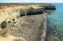 Shore Tour Punta Loma & city tour cruise passengers Puerto Madryn