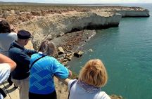Shore Tour Punta Loma & city tour cruise passengers Puerto Madryn