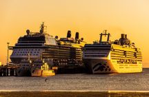 Shore Tour Punta Loma & city tour cruise passengers Puerto Madryn