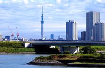 Tokyo Private Guided Tour with Hotel Pickup and Drop off