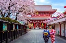 Tokyo Private Guided Tour with Hotel Pickup and Drop off