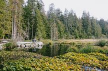 The Stanley Park Family Tour by Cycle City Tours
