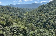 Mindo Cloud Forest Guided Private Tour 