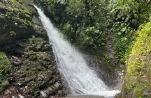 Cloudforest and Middle of the World 