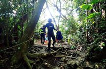 Discover Ishigaki's Hidden Treasures Snorkeling Tour at BlueCave 