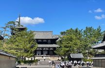 E-Bike Tour through Ikaruga’s Temples and Countryside