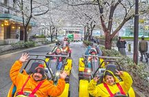Go Kart Tokyo Spring Tour Experience