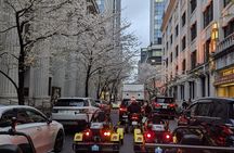 Go Kart Tokyo: Sakura & Shibuya Crossing Experience