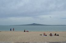 Bright Mornings in Auckland