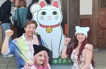 Tokyo Private Custom Walking Tour