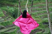 All Inclusive Ubud Tour