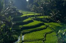 All Inclusive Ubud Tour