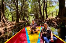 Xochimilco: Market, chinampas and axolotls 