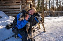 Rovaniemi Husky Safari & Campfire BBQ – 6‑10 km Self‑Drive