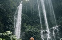 Munduk:Best tour intenery sekumpul & Banyumala waterfalls
