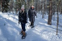 Rovaniemi: Snowshoe Adventure at Vikaköngäs & Barbeque